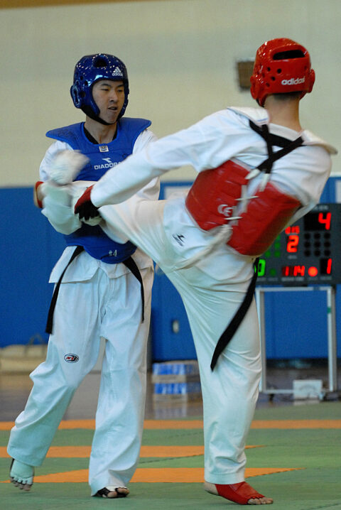 Taekwondo Fight Royan